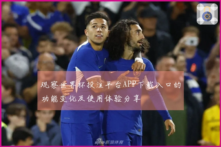 观察世界杯投注平台APP下载入口的功能变化及使用体验分享