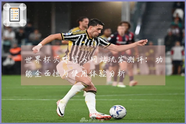世界杯买球官方网站玩家测评：功能全面性与使用体验分析