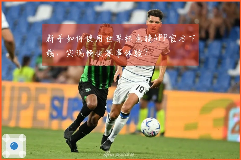 新手如何使用世界杯竞猜APP官方下载，实现畅快赛事体验？