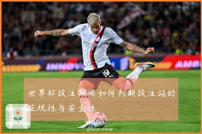 世界杯投注期间如何判断投注站的正规性与安全性