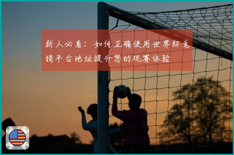 新人必看：如何正确使用世界杯竞猜平台地址提升您的观赛体验