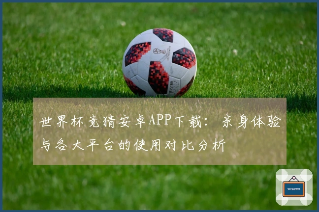 世界杯竞猜安卓APP下载：亲身体验与各大平台的使用对比分析