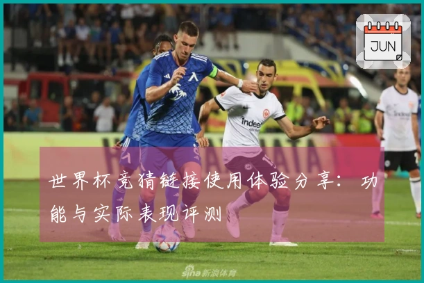 世界杯竞猜链接使用体验分享：功能与实际表现评测