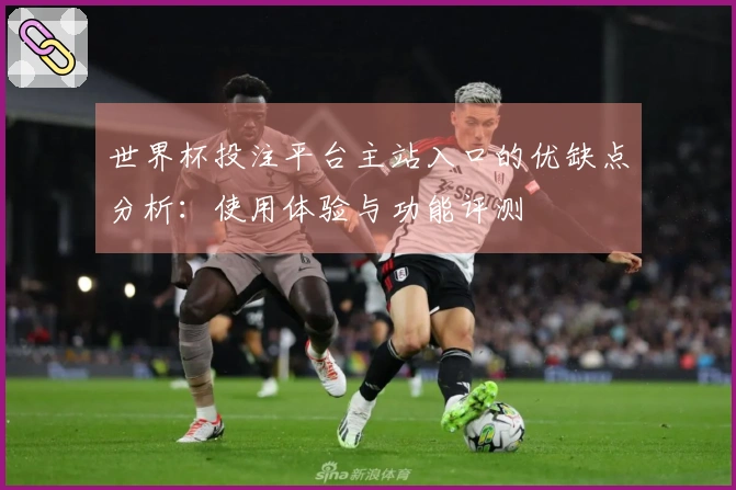 世界杯投注平台主站入口的优缺点分析：使用体验与功能评测