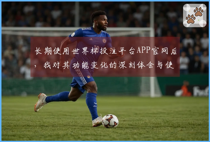 长期使用世界杯投注平台APP官网后，我对其功能变化的深刻体会与使用心得