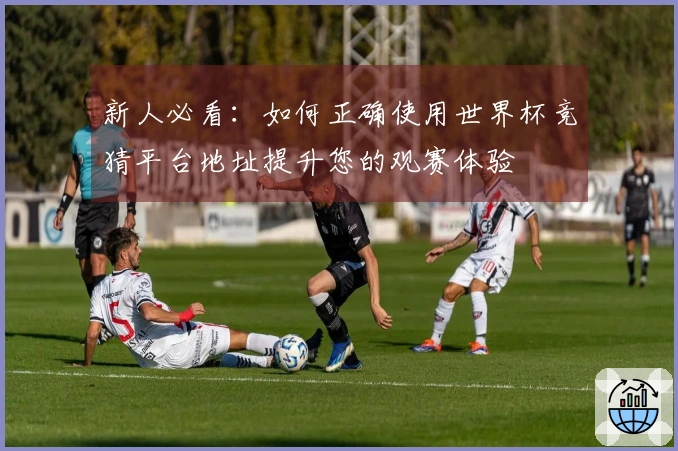 新人必看：如何正确使用世界杯竞猜平台地址提升您的观赛体验